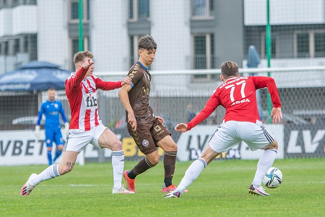 里加入更多 里加入更多