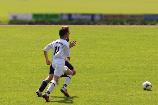 青训与老将 青训与老将