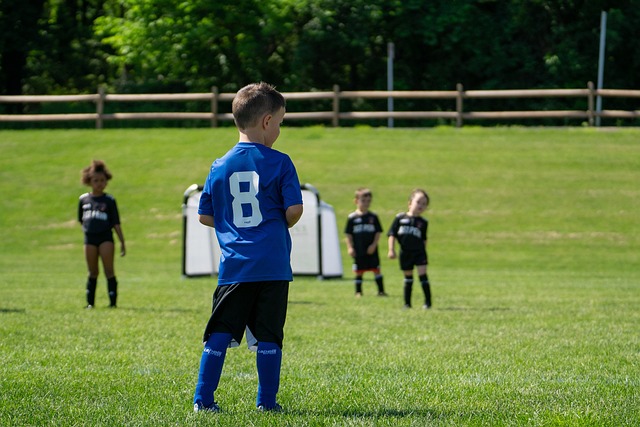 过几次引人 过几次引人