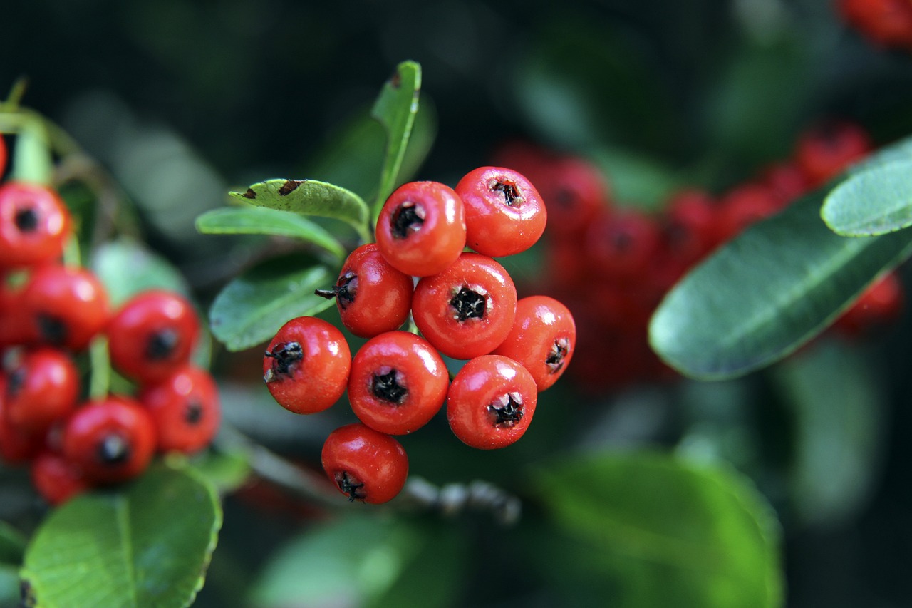 不止一次强 不止一次强