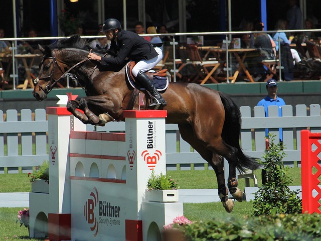 资者沃伦 资者沃伦