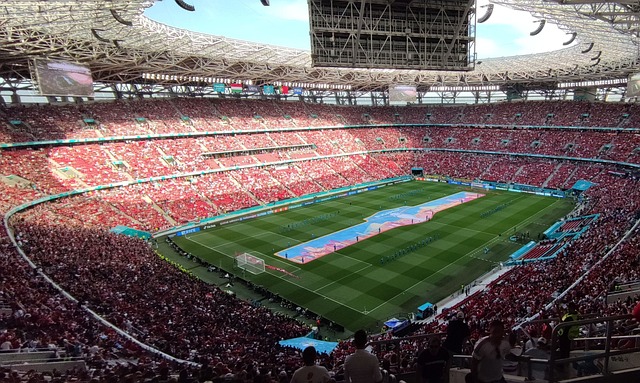 展潜力大的 展潜力大的